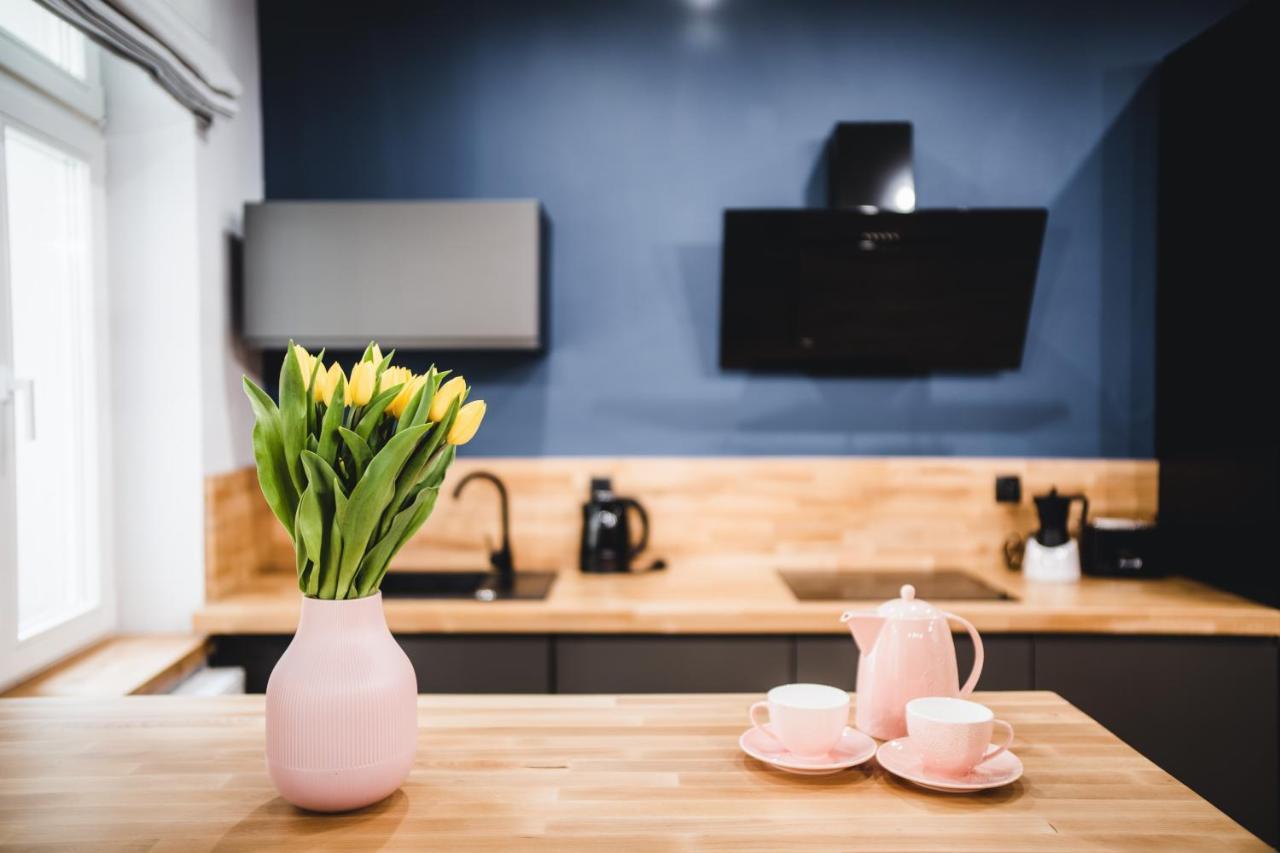 Modern Apartments Torun 4 Stare Miasto-Centrum Екстериор снимка